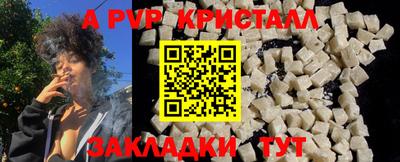 герыч Кингисепп